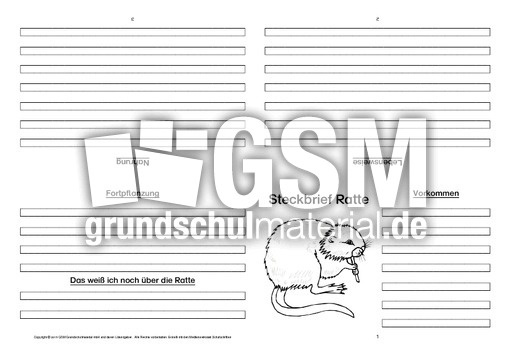Ratte-Faltbuch-vierseitig.pdf